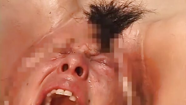 Sexe au travail après une fête d'entreprise film x francais amateur gratuit
